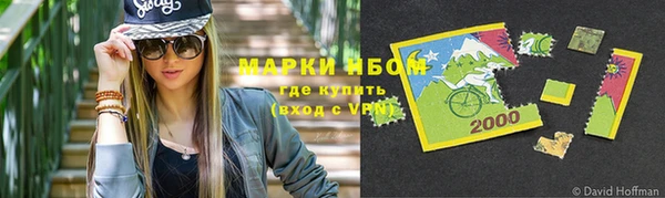 гидра Арсеньев